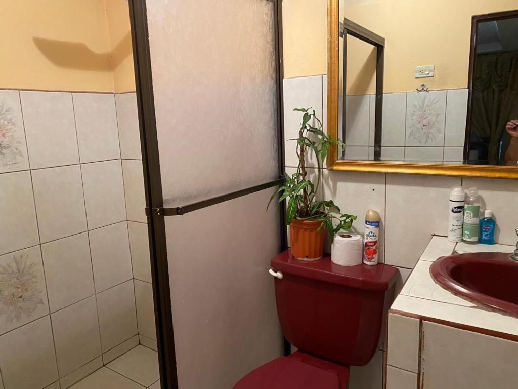 Apartamento Casa Lupita Alajuela Exterior foto